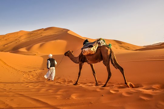 Tour image 6