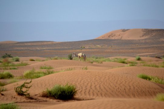 Tour image 3