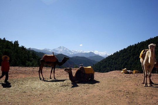 Tour image 5
