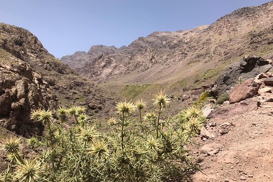 Tour image 8