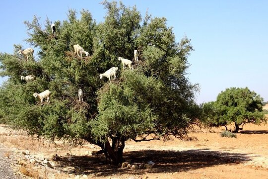 Tour image 10
