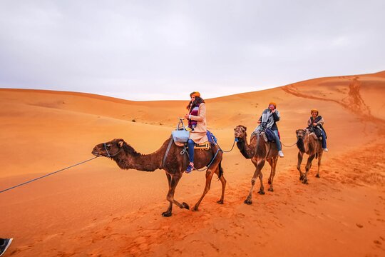 Tour image 1
